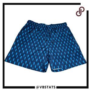 Capelle Miami Mens Collins Mid-Length Hybrid Swim Trunks Shorts Dark Horse Large